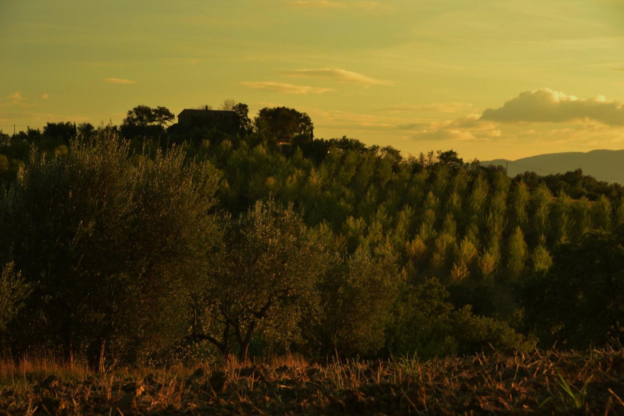 Agriturismo La Casetta Del Sole Villastrada  Экстерьер фото