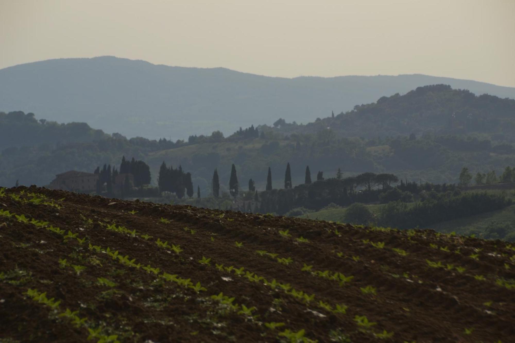 Agriturismo La Casetta Del Sole Villastrada  Экстерьер фото